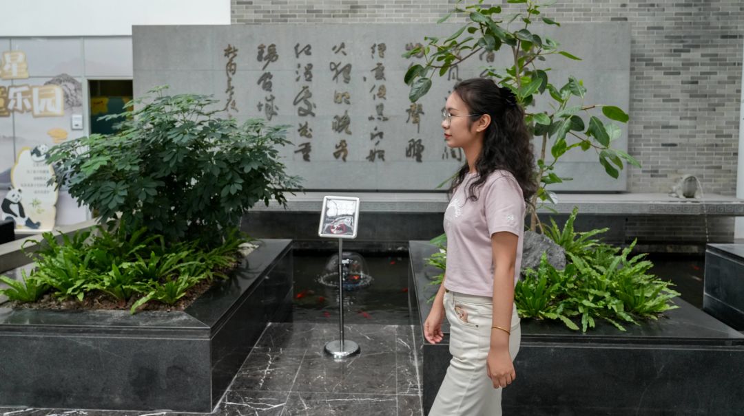 电驴延保;合同管理;SOH值 电驴延保;合同管理;SOH值